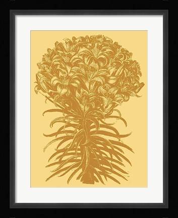 Framed Lilies 19 Print