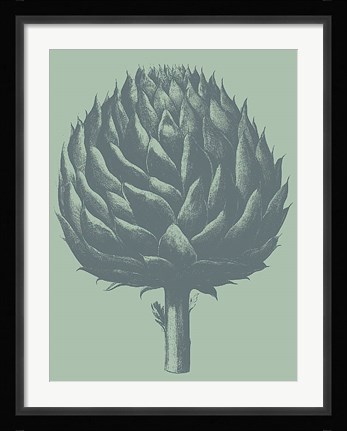Framed Artichoke 8 Print