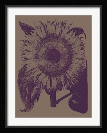 Framed Sunflower 14 Print