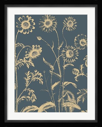 Framed Chrysanthemum 2 Print