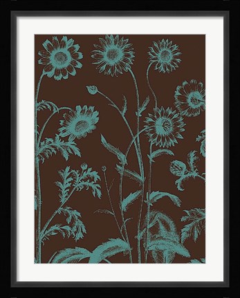 Framed Chrysanthemum 6 Print
