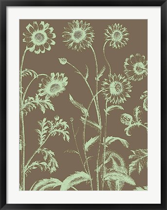 Framed Chrysanthemum 12 Print