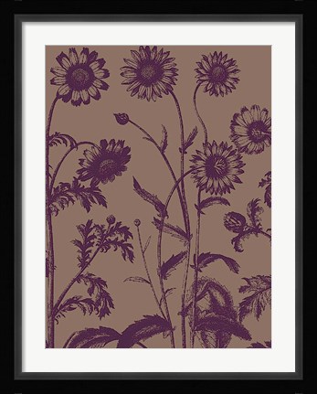 Framed Chrysanthemum 14 Print