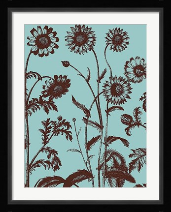 Framed Chrysanthemum 18 Print
