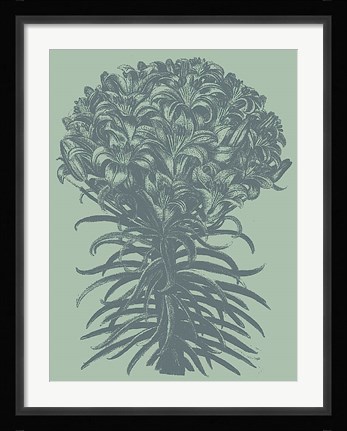 Framed Lilies 8 Print
