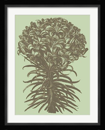 Framed Lilies 11 Print