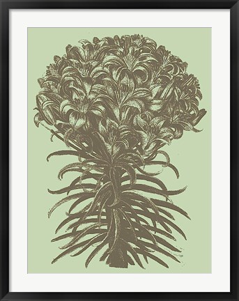 Framed Lilies 11 Print