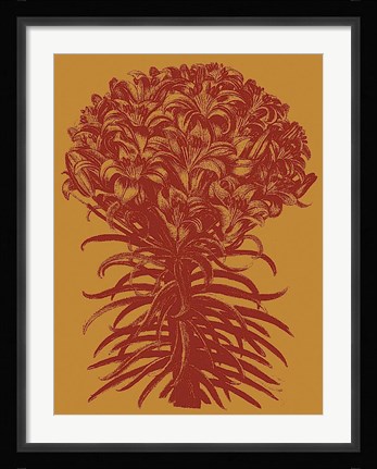 Framed Lilies 15 Print