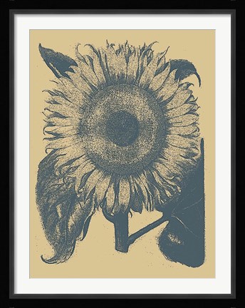Framed Sunflower 1 Print