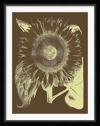 Framed Sunflower 3 Print