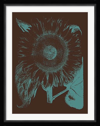 Framed Sunflower 6 Print
