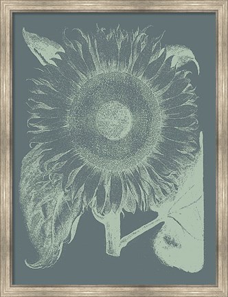 Framed Sunflower 7 Print