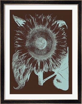 Framed Sunflower 17 Print