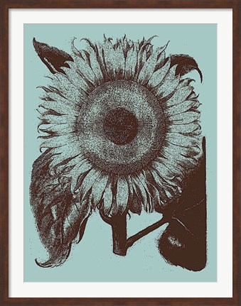 Framed Sunflower 18 Print