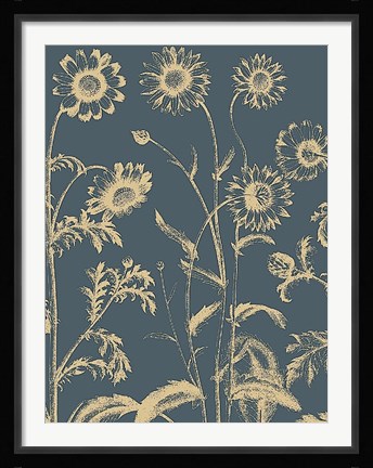 Framed Chrysanthemum 2 Print