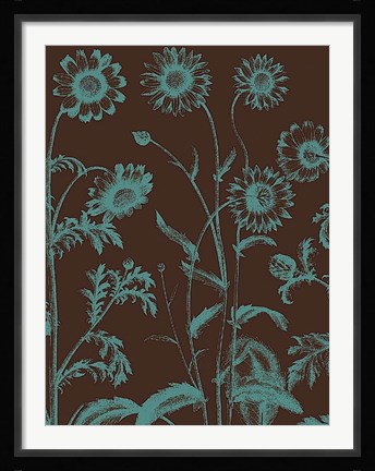 Framed Chrysanthemum 6 Print