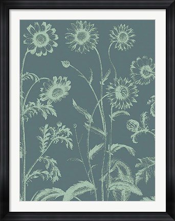 Framed Chrysanthemum 7 Print
