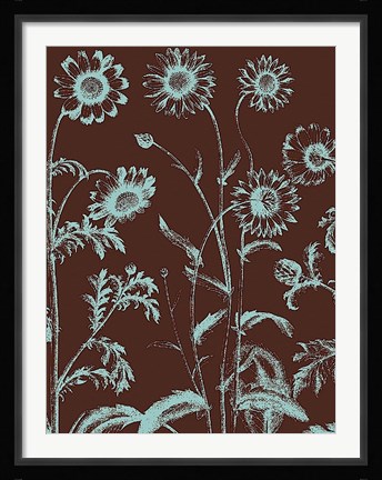 Framed Chrysanthemum 17 Print