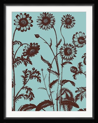 Framed Chrysanthemum 18 Print