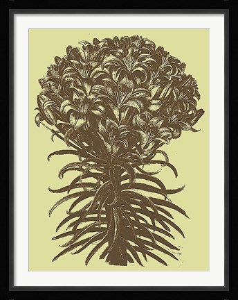 Framed Lilies 4 Print