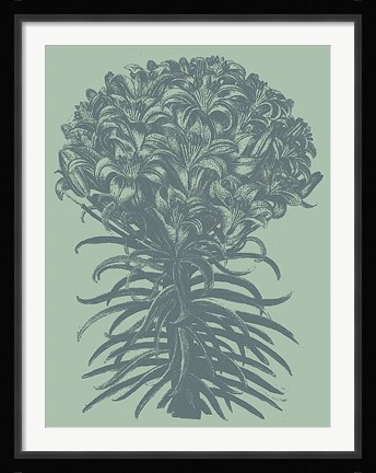Framed Lilies 8 Print