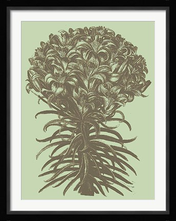 Framed Lilies 11 Print