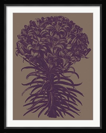 Framed Lilies 14 Print