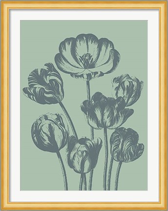 Framed Tulip 8 Print