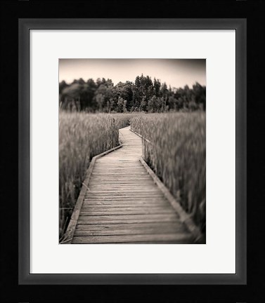 Framed Towards Woods Print