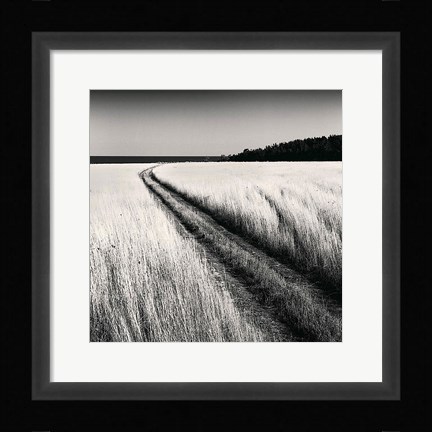 Framed Oceanside Field Print