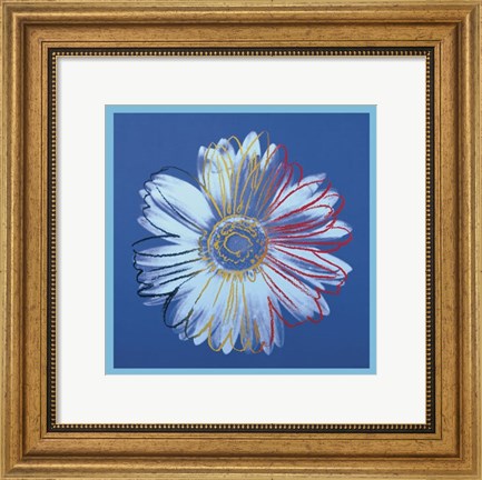Framed Daisy, c.1982 (blue on blue) Print