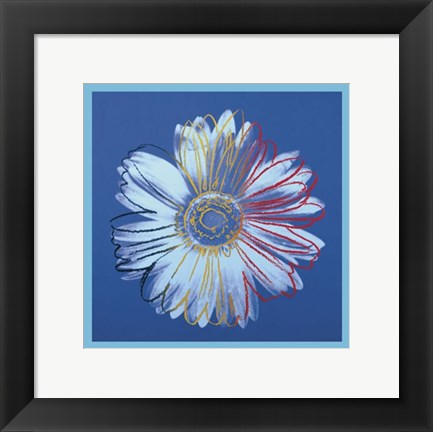 Framed Daisy, c.1982 (blue on blue) Print