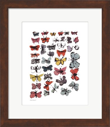 Framed Butterflies, 1955  (many/varied colors) Print