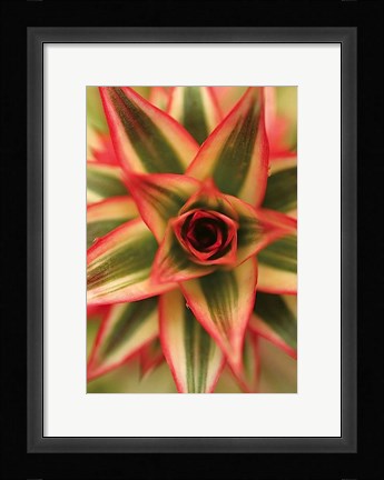 Framed Bronx 1959 Print