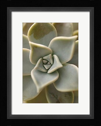 Framed Bronx 1921 Print