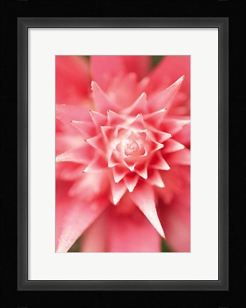 Framed Bronx 1930 Print