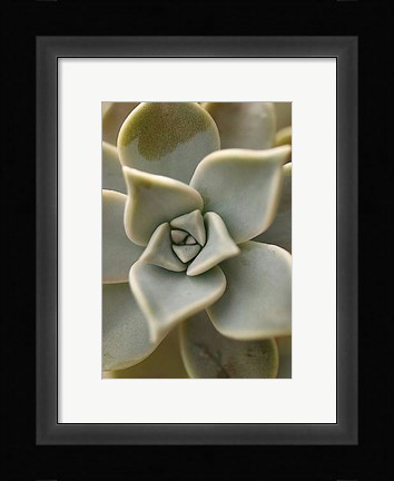 Framed Bronx 1921 Print