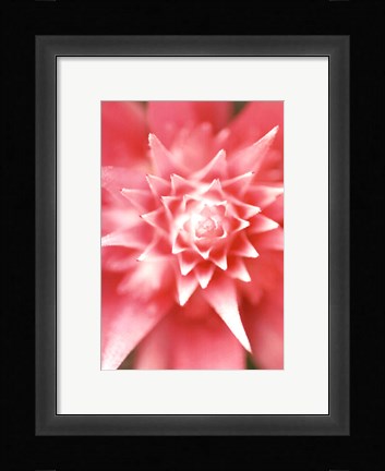 Framed Bronx 1930 Print