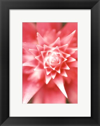 Framed Bronx 1930 Print