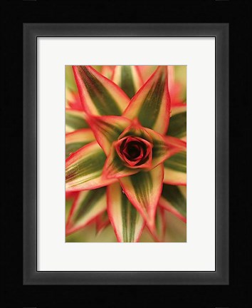 Framed Bronx 1959 Print