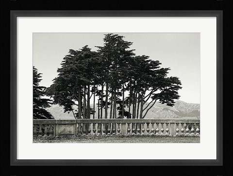 Framed Cypress Trees and Balusters Print