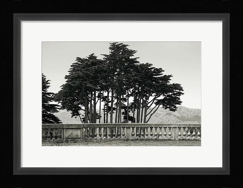 Framed Cypress Trees and Balusters Print