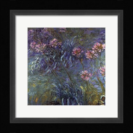 Framed Jewelry lilies Print