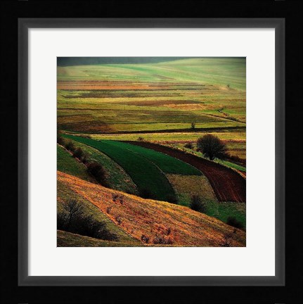 Framed Transylvania Print