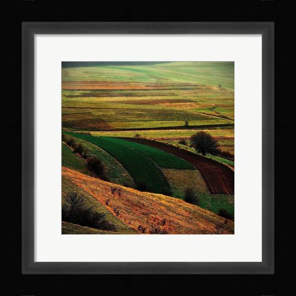 Framed Transylvania Print