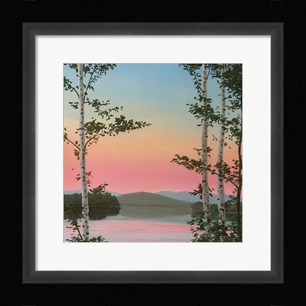 Framed Cooper Sunset Birches Print