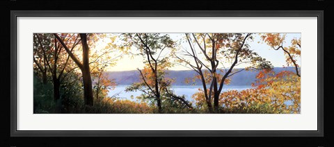 Framed Autumn Scrim Print