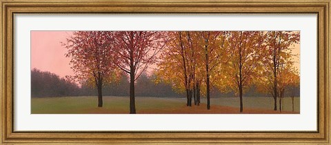 Framed Autumn Dawn, Maples Print