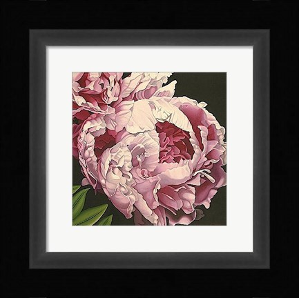 Framed Peony II Print