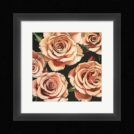 Framed Roses Print